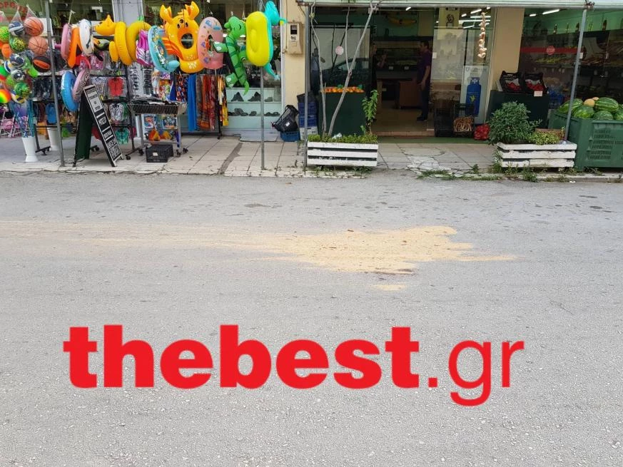 Τραγωδία στην Πάτρα! Σε σοκ ο οδηγός που σκότωσε το αγοράκι: «Πήγα να φυλάξω το ένα και χτύπησα το άλλο»